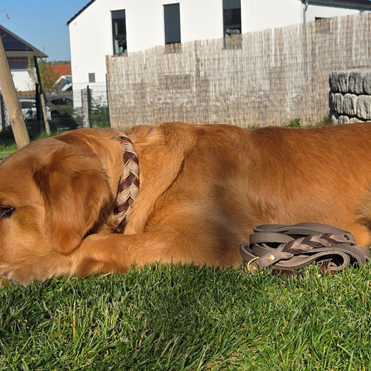 Lederleine Fettleder geflochten ' GOLDEN COUNTRY ' Braun / Schlamm