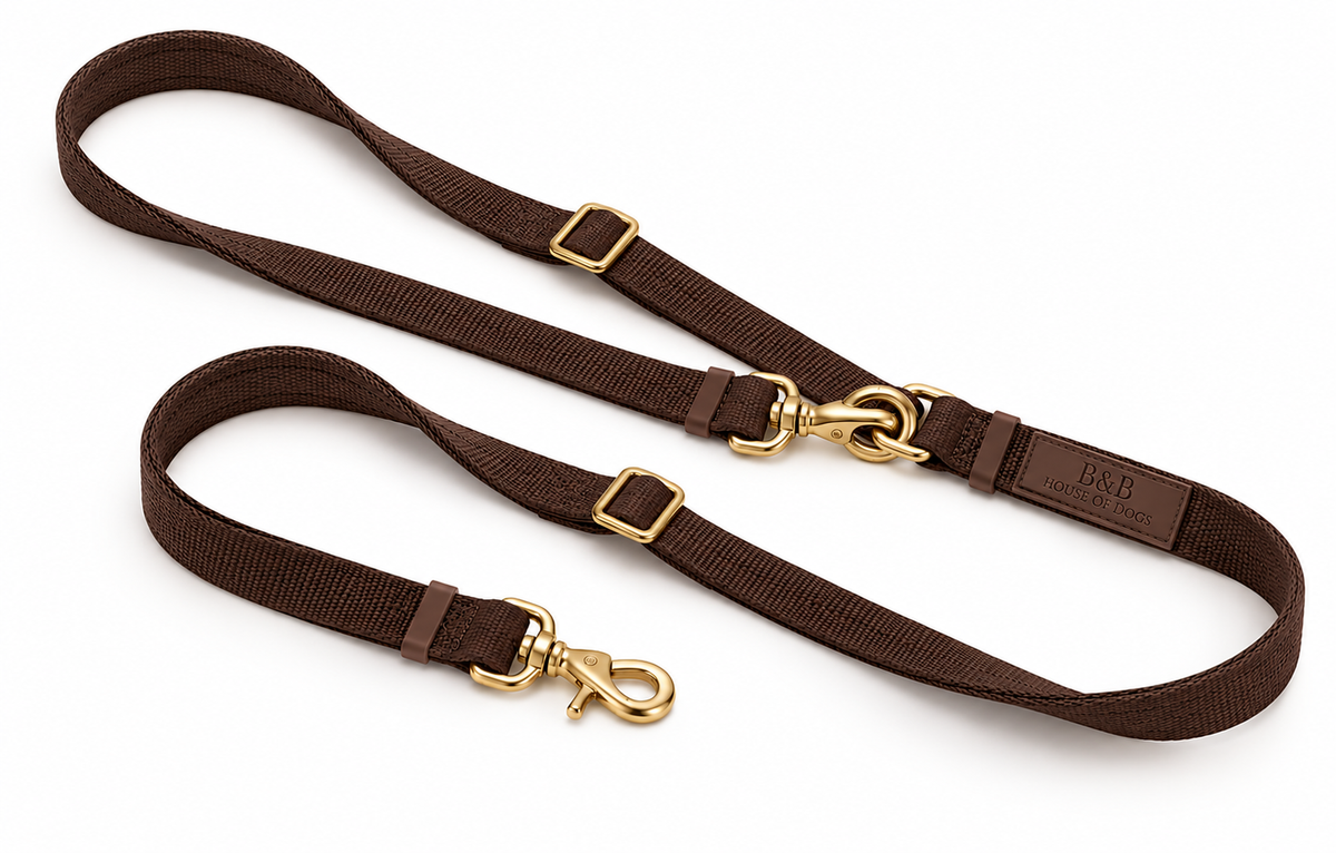 Savi Crossbody-Hundeleine in Espresso-Braun mit goldfarbenen Karabinern, 3 m lang und verstellbar