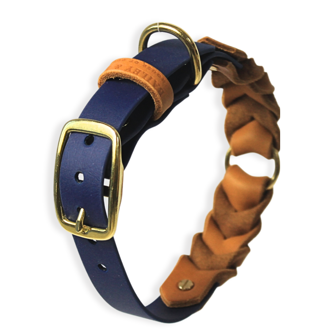 Hund mit BASELINE Halsband in Dunkelblau-Cognac – hochwertiges, bequemes Design aus BioThane®