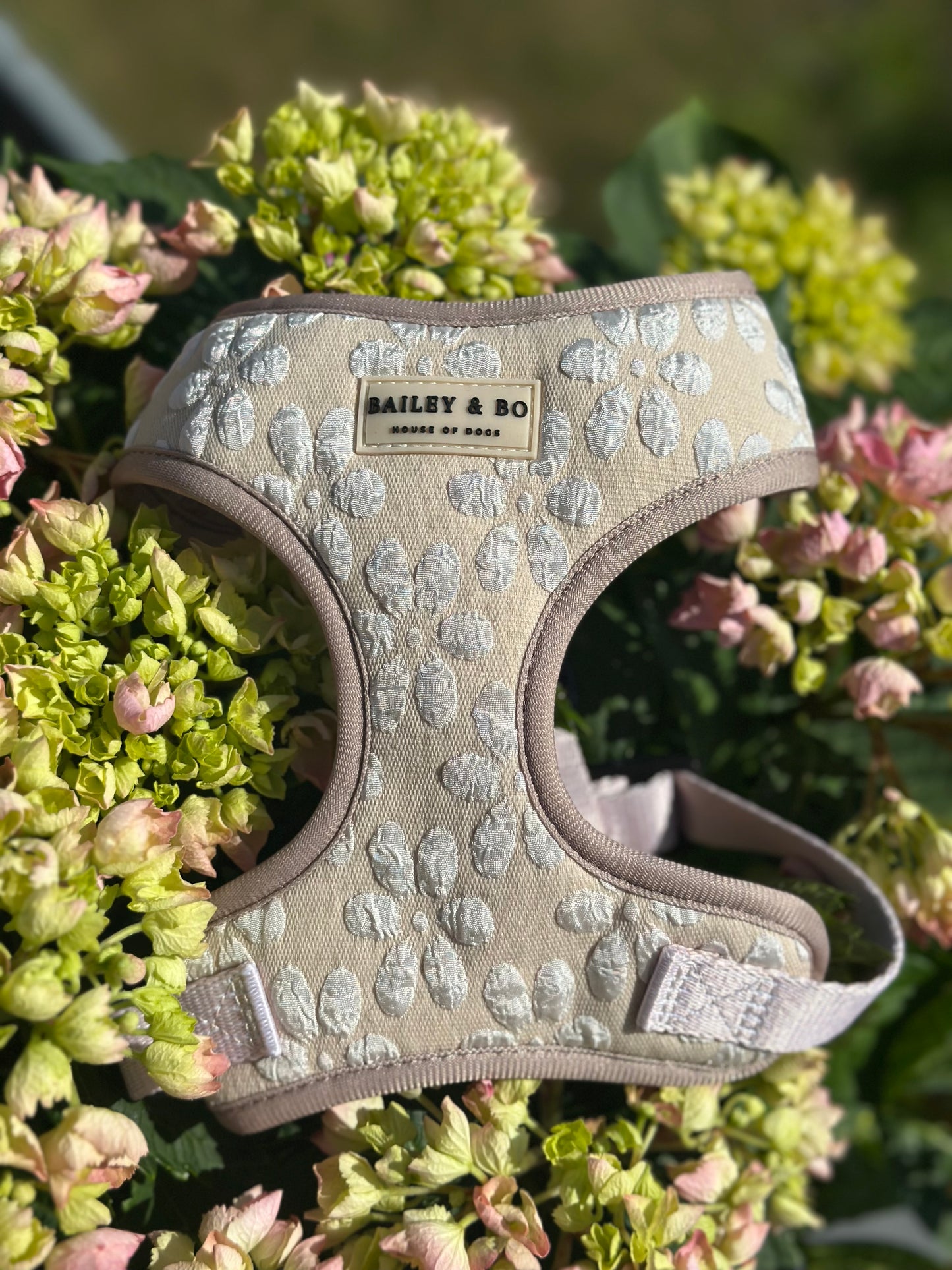 Brustgeschirr für Hunde Beige mit Blumen Muster