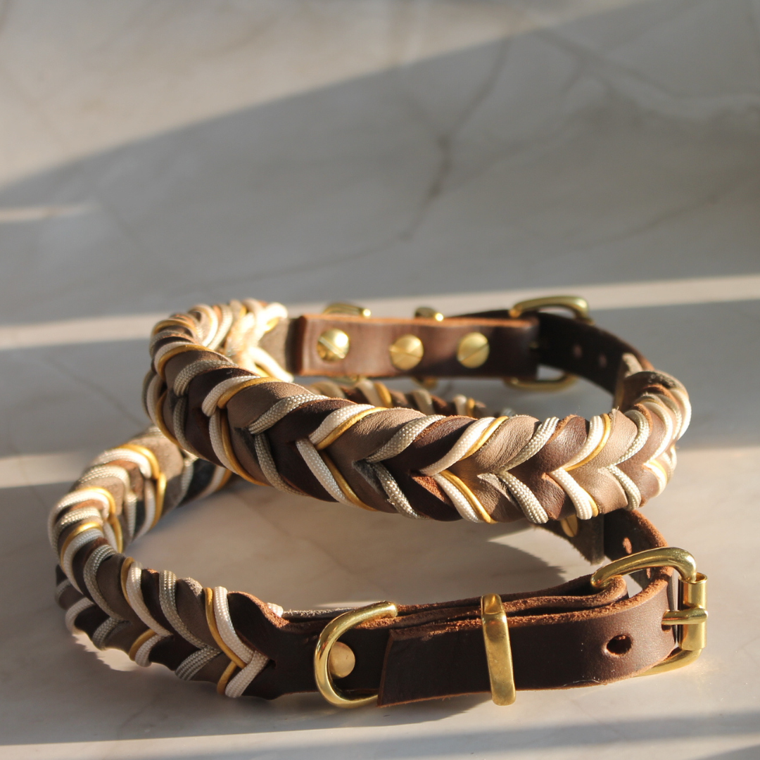 Halsband aus Leder mit Paracord für Hunde – Fettleder, Messing und Paracord in Braun und Beige