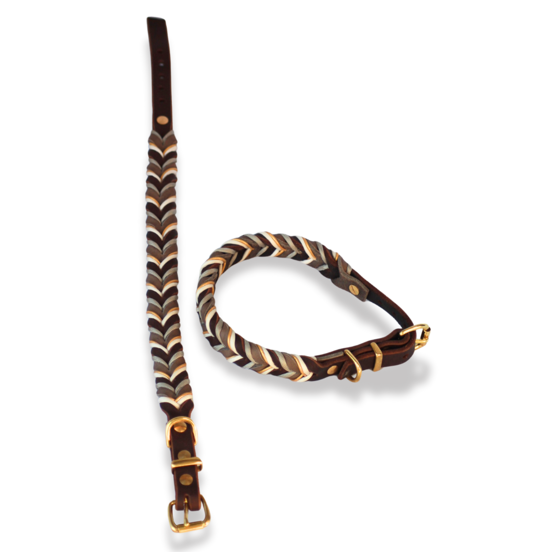 Hundehalsband aus Fettleder in Braun & Beige mit goldenen Messingbeschlägen