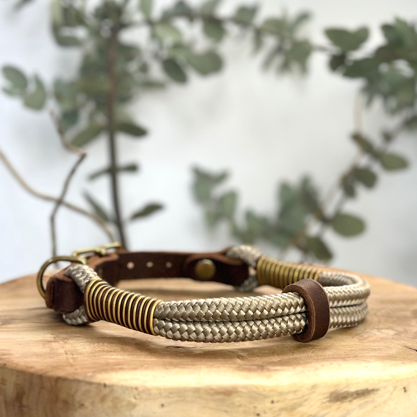 Lederhalsband mit Tau und Goldener schnalle in Braun