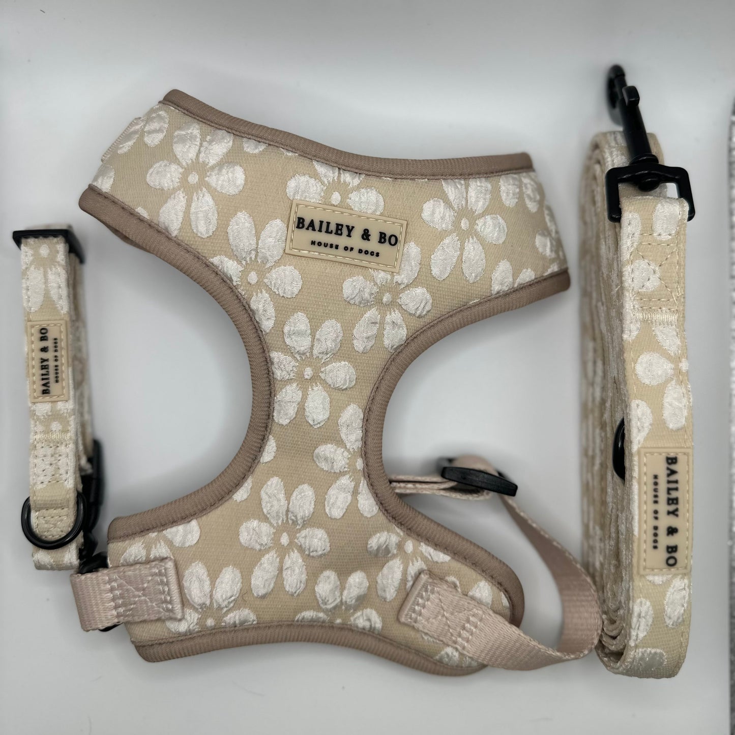 Brustgeschirr Leine und Halsband Set in beige für Hunde