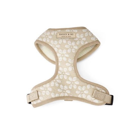 Verstellbares Vanilla Blossom Hundegeschirr in Mocha-Flower-Design auf weißem Hintergrund – leicht & atmungsaktiv