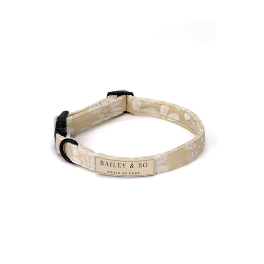 Hundehalsband Vanilla Blossom in Mocha-Flower-Design auf weißem Hintergrund – verstellbar & stilvoll