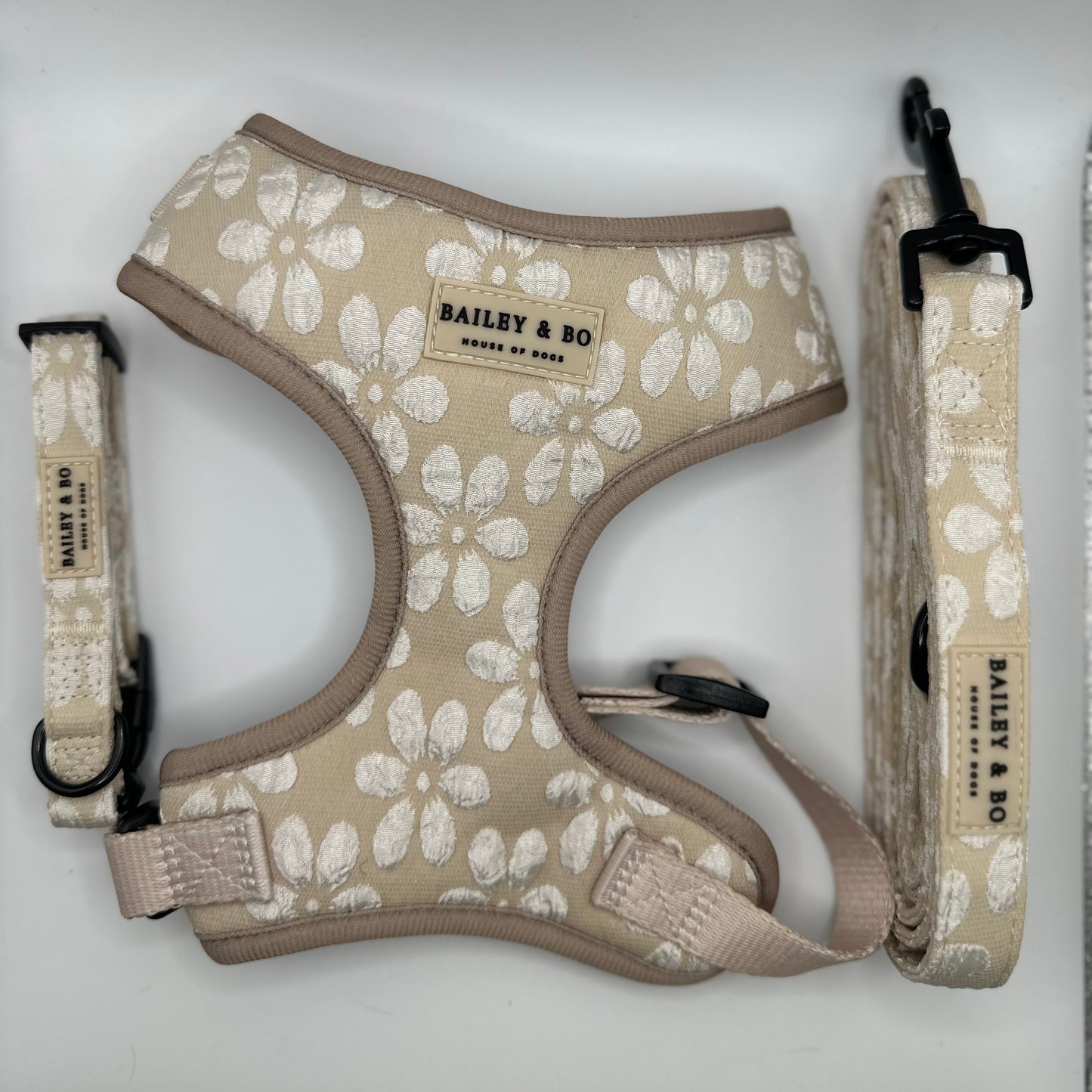 Brustgeschirr für Hunde im Set Beige Cream