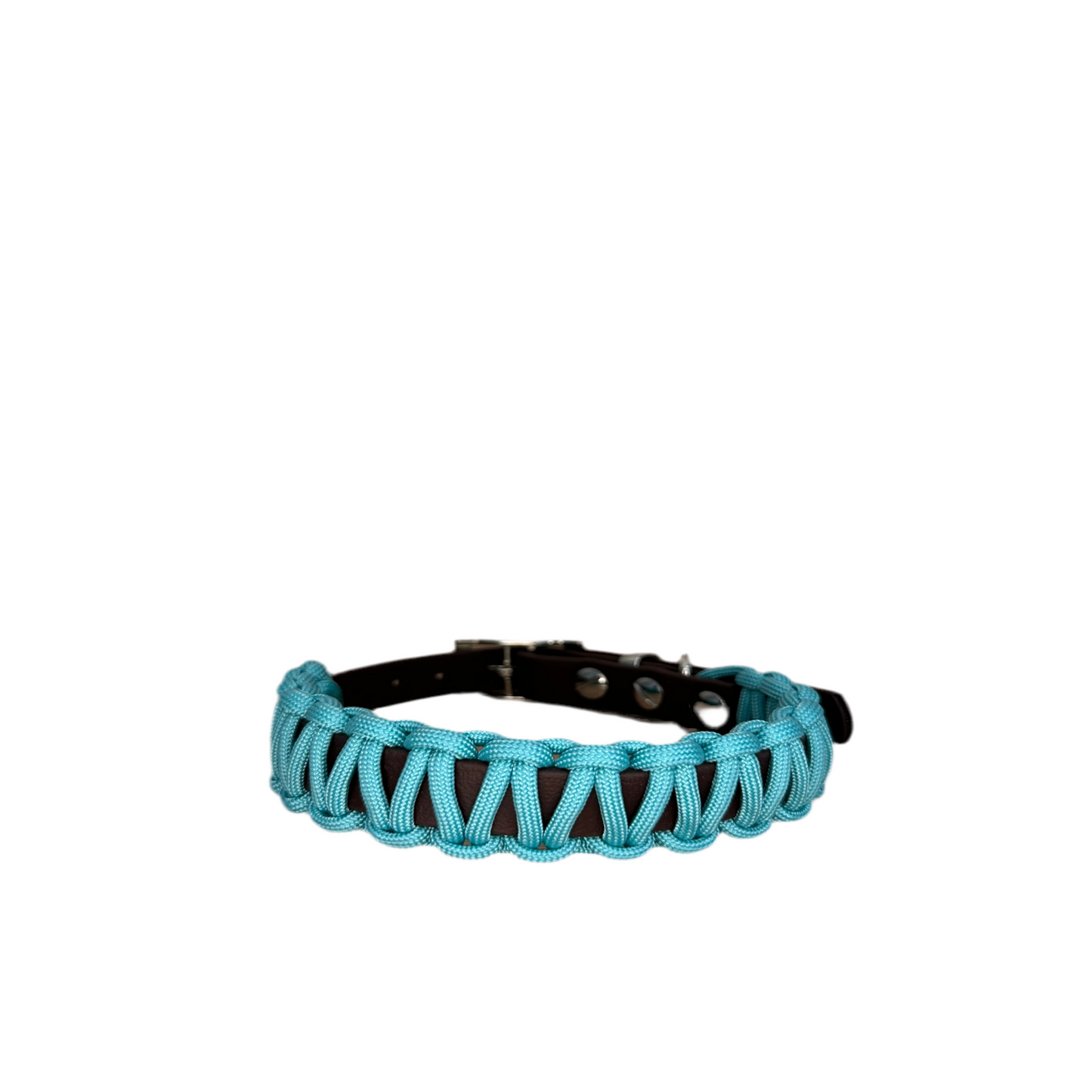 türkis halsband biothane paracord