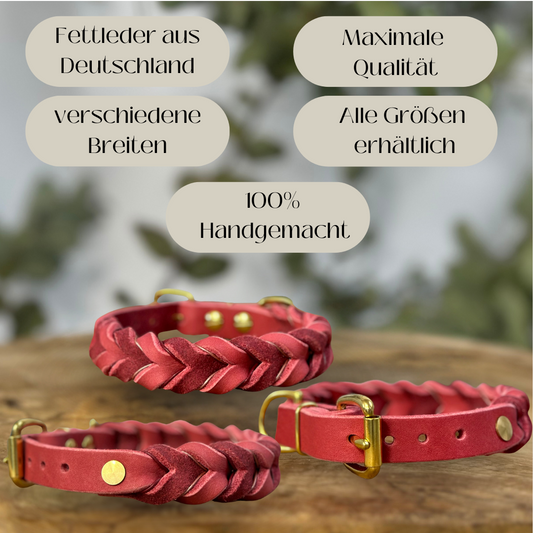 Der ultimative Leitfaden zu geflochtenen Lederhundehalsbändern: Stilvoll und robust für Ihren besten Freund