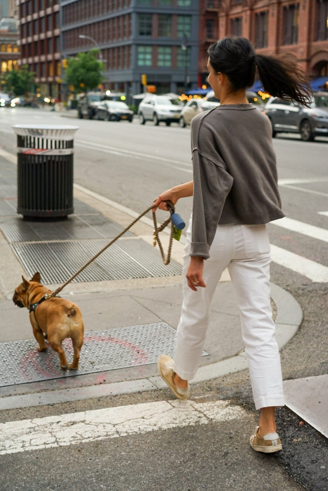 Leinenführigkeit bei kleinen Hunden: Tipps und Tricks - Bailey and Bo - House of Dogs