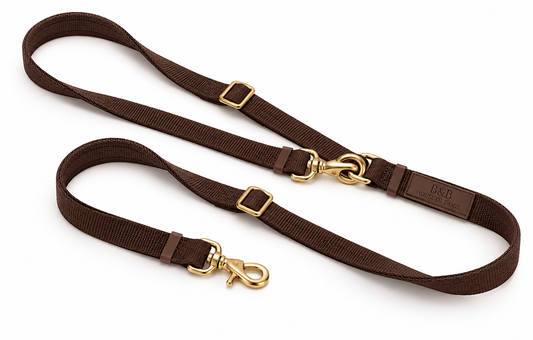 Savi Crossbody-Hundeleine in Espresso-Braun mit goldfarbenen Karabinern, 3 m lang und verstellbar