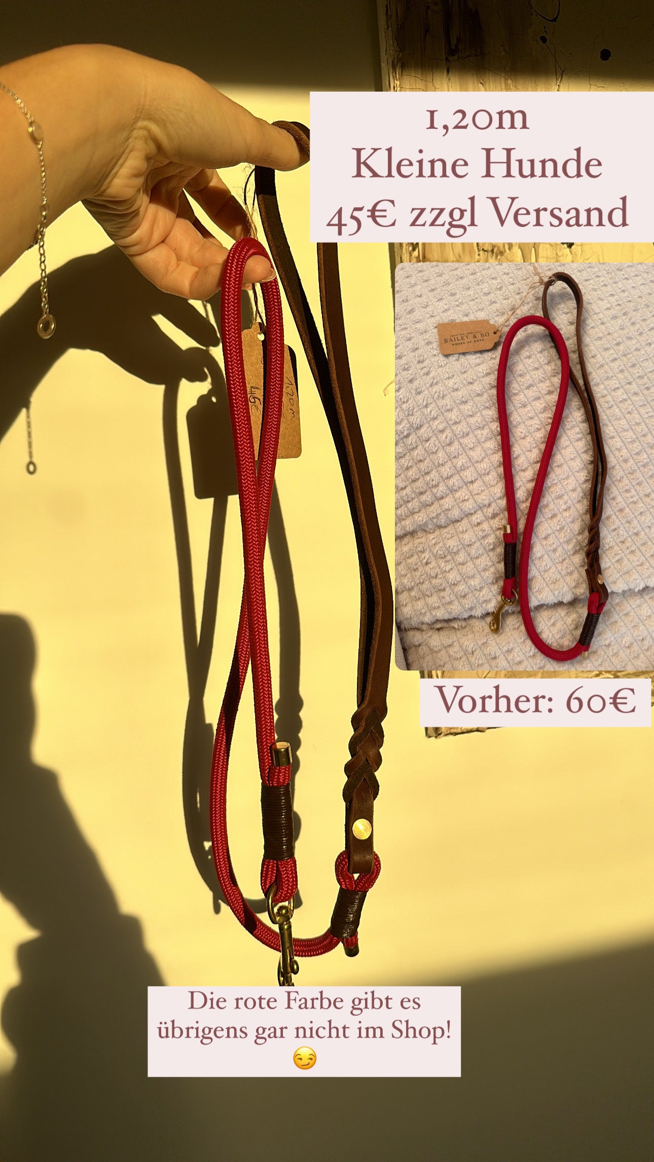 Tau/ Lederleine rot/Gold/Braun kleine Hunde 1,20m