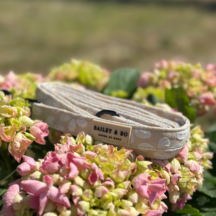 Aufgerollte Vanilla Blossom Hundeleine in Beige mit Bailey & Bo Label vor rosa Hortensien