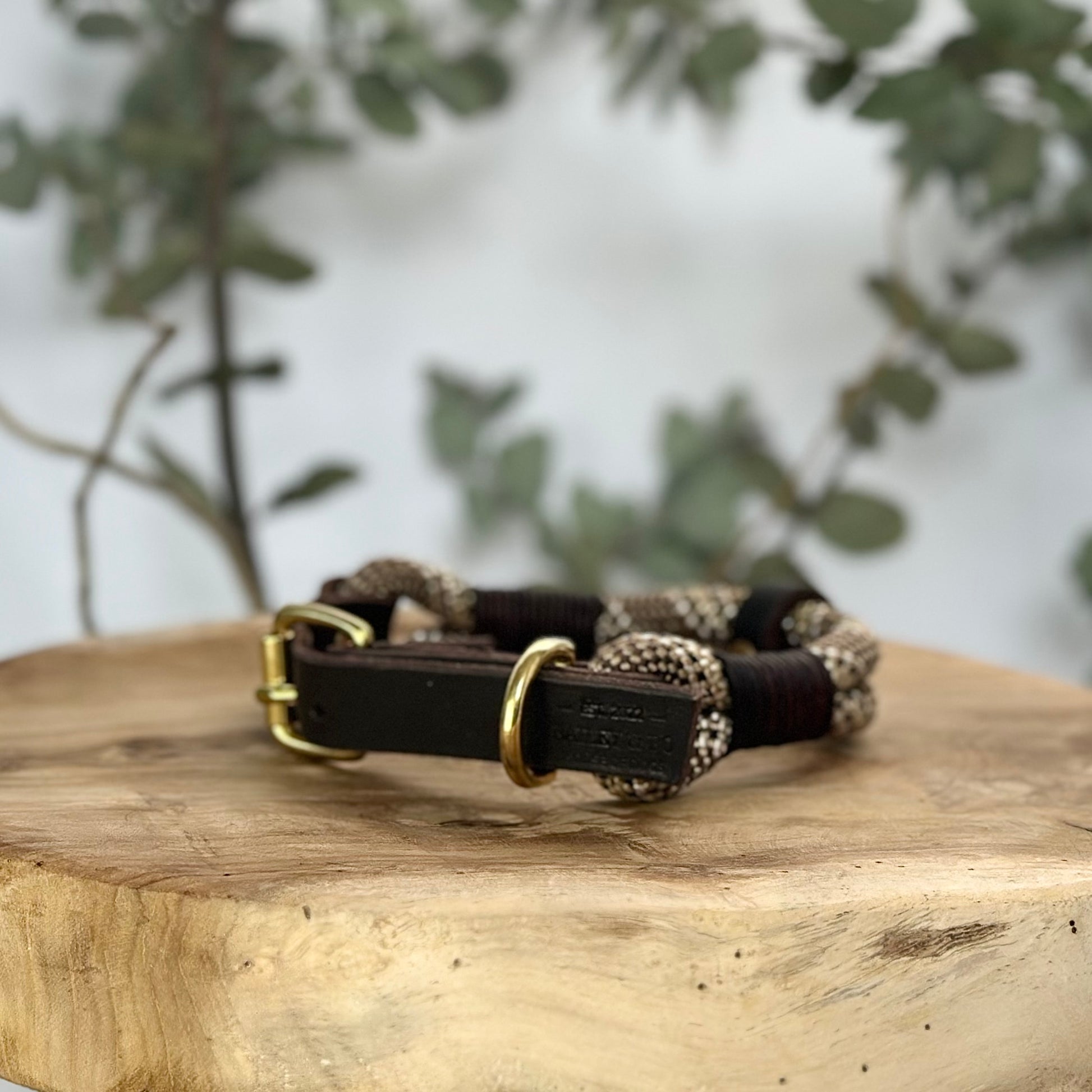 Verstellbares Tau und Leder Halsband