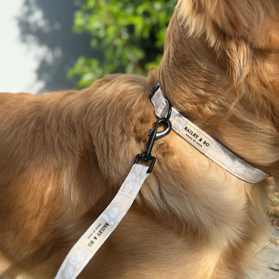 Nahaufnahme des Vanilla Blossom Halsbands mit gestickten Blumen im Mocha-Design am Hundehals

