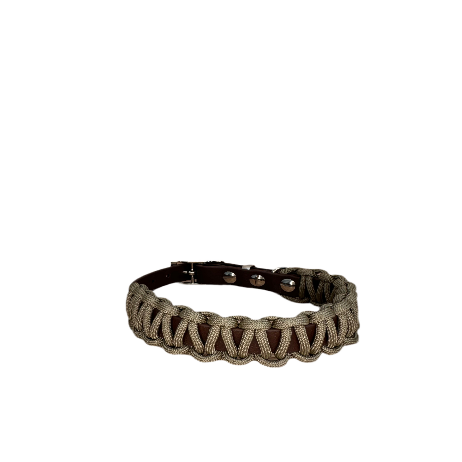 individuelles hundehalsband
