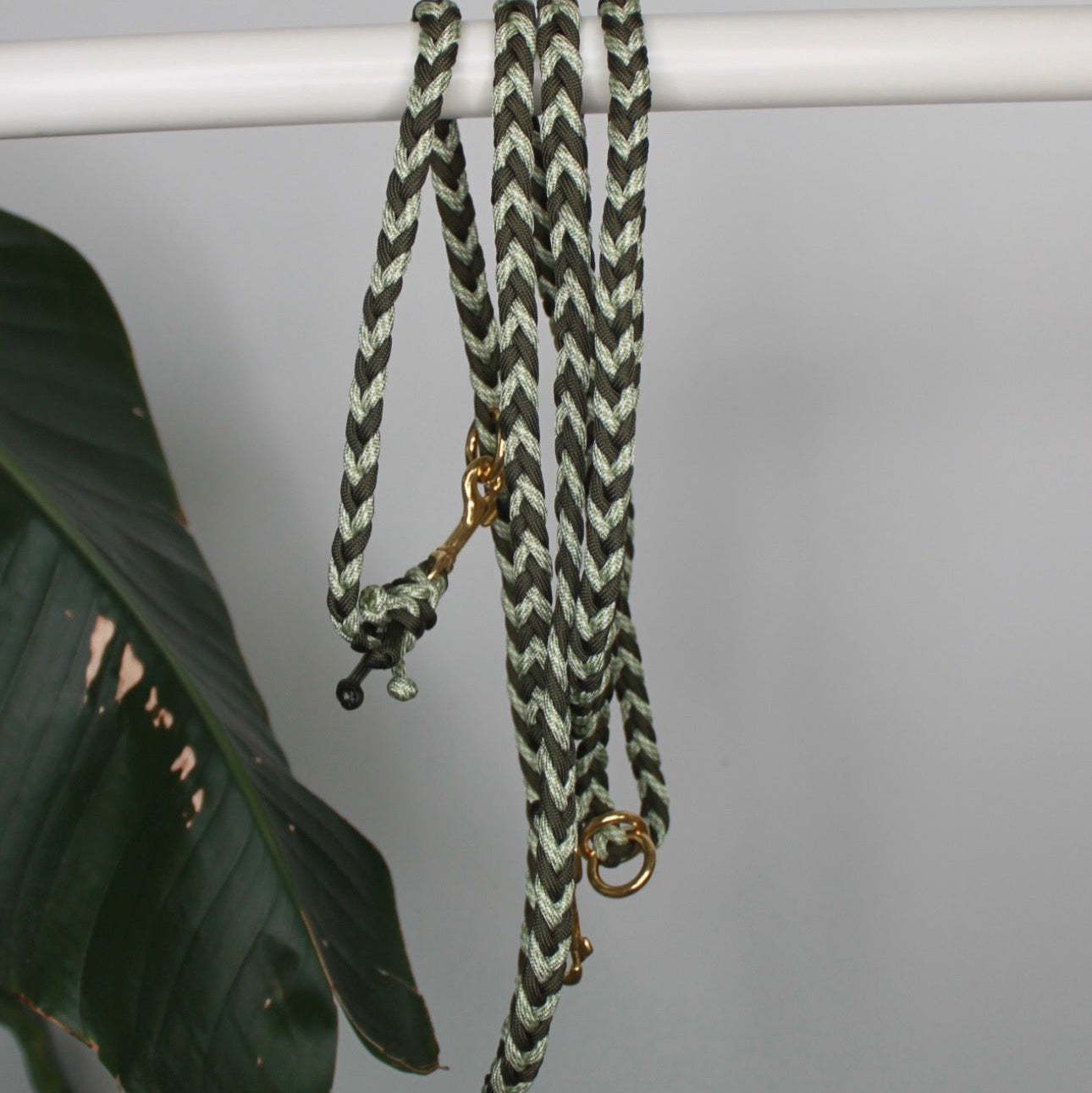 Paracord Leine Länge 2,70m kleine Hunde Olive Gold