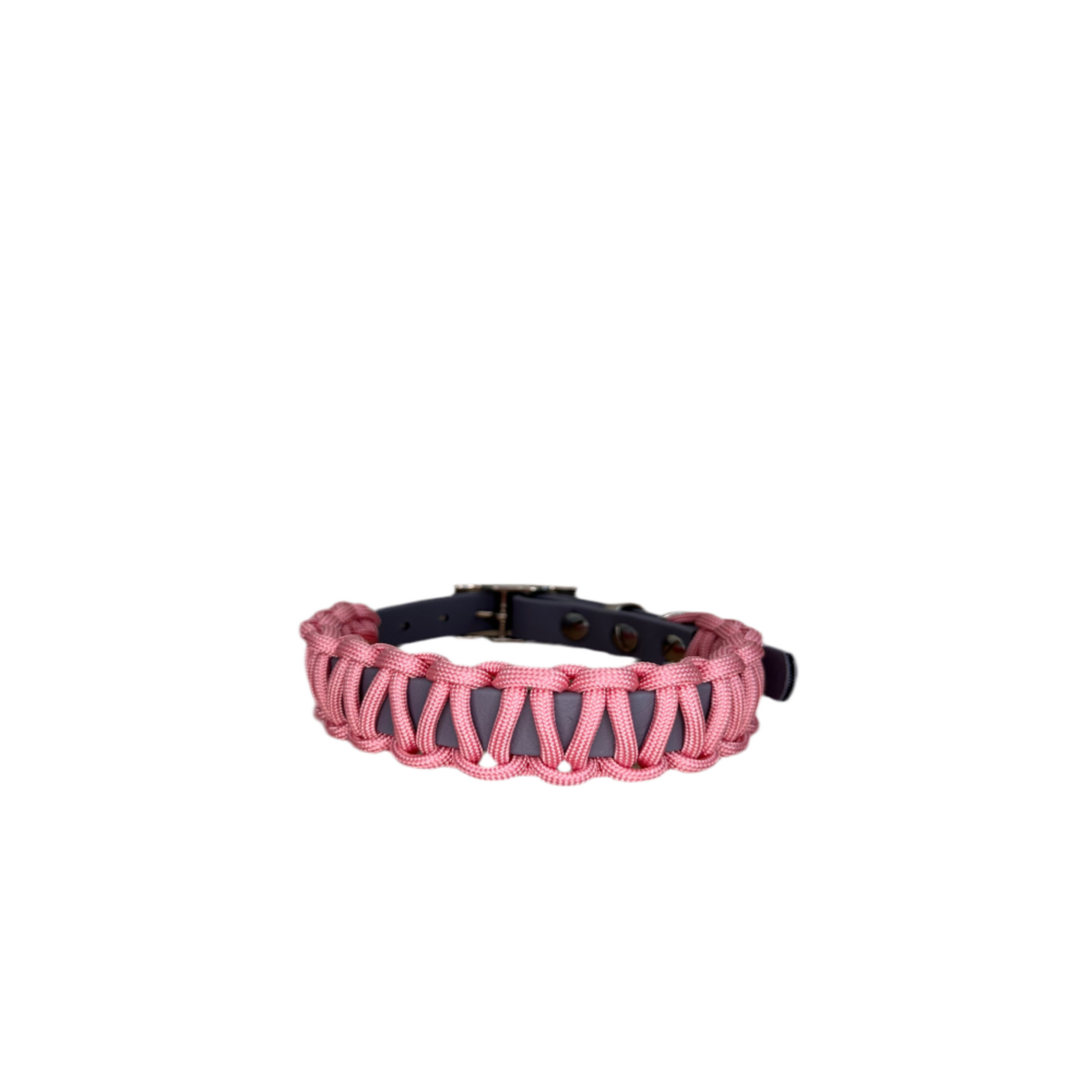 individuelles hundehalsband rosa